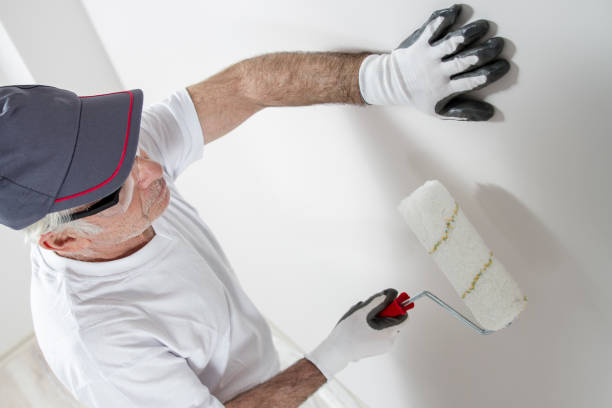 Best Fire-Damaged Drywall Repair  in Granite Hills, CA